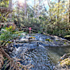 Fernbrook Farm