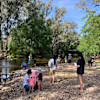 Robinia Forest
