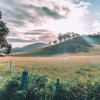 Wombat Valley  