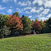 Apple orchard lookout at Camp Jack