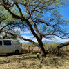 Van, RV & Car Camping at TerraSol