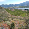 Cheval Cellars Group Site