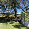 ⛺️  Bush Retreat - Pop up tent