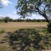 Pasture non designated sites. 🌈⛺