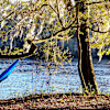 Suwannee Primitive Vehicle Camping