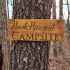 Hawk Hangout Deep In The Woods #18