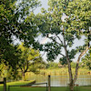 Site 4 - CD&J Mini Ranch & Farm Camping