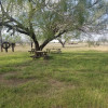 Site 1 - CD&J Mini Ranch & Farm Camping