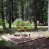 Tent Site 1 - Valhalla Pines