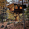 The Magical Treehouse