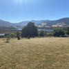 Garden and Orchard Over River Huon