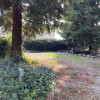 Site 1 - Redwood Haven