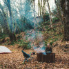 Site 9 - Beautiful Rainforest Camping Along the Cowichan River