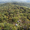 Ironbark Ranch - Free Range