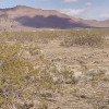 Site 9 - Golden Valley Ranchos