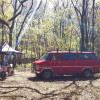 Suwannee Primitive Vehicle Camping