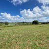 39 - Top Hill Site 