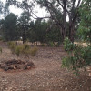 Dunolly Camper-Roos