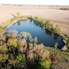 Grove Behind the Pond