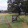  Equine Camp