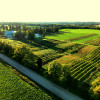Winery & Orchard on Beautiful Farm