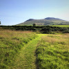 Meadow Camping