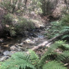 Creek Site