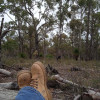 Bush Camping at Woodnote Park