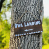 Owl Landing
