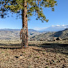 Site 2 - Sasquatch Vista