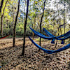 Roaming Wild Hideaways Madison Blue