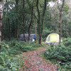 BYO Woodland Camping