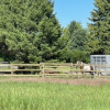 Site 9 - VanGoBoon Bozeman - Horse co