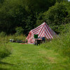 Orchard Camping Pitch