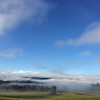 The Valley