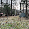 Rustic camping experience