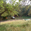 "Catalpas" Tent/Tree Camping