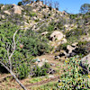 Echo Valley Ultra-Private