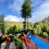 Tree House! Pool Hot Tub & Sauna🐶🐕