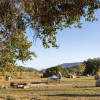 Arber-Moore’s Ranch Camp