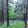 The Picnic Area