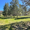 Roots Rise Family Farm