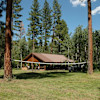Streamside Meadow Oasis
