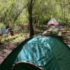 Ironwood campsite