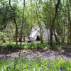 Bluebell Woodland Pitch