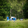 Great Oaks & Pines Camping Pitches