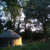 Kingfisher yurt