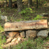 Heartwood TreeTENT