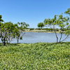 Peaceful Lake Views at 4G Ranch