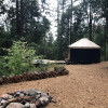 Forest Yurt Hideaway